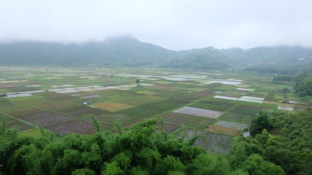 Pemandangan Bukit Selong (Foto: Bella Cynthia / Kumparan )