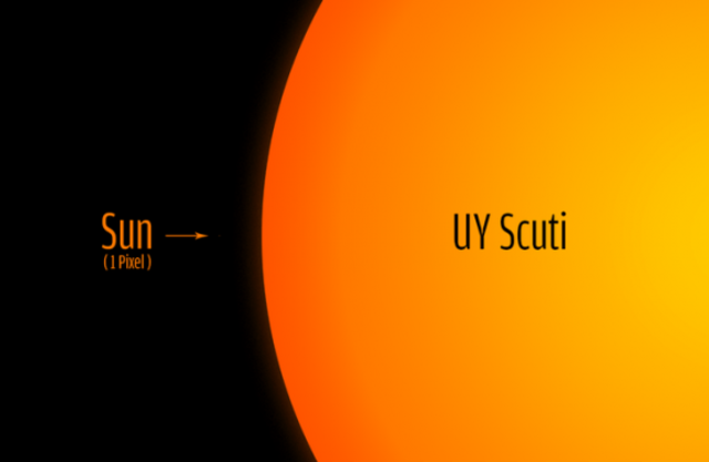 Perbandingan UY Scuti dengan Matahari (Foto: Wikimedia Commons)