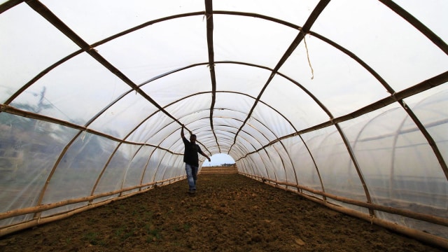 Petani garam geo membran (Foto: ANTARA FOTO/Rahmad)