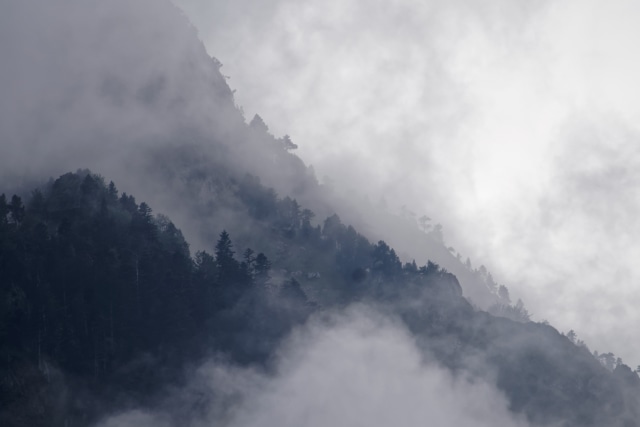 Dikepung Kabut (4)