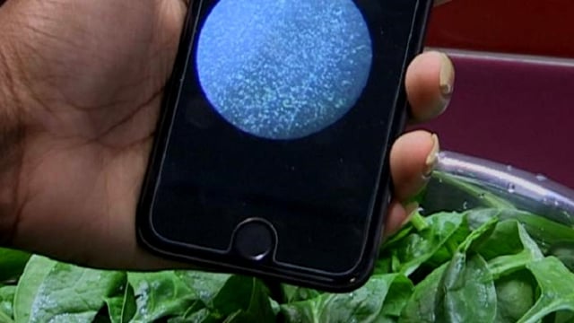 Aplikasi untuk mendeteksi bakteri pada makanan. (Foto: Dok. UMass Amherst)