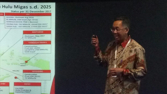 Wakil Kepala SKK Migas, Sukandar. Foto: Wendiyanto/ kumparan