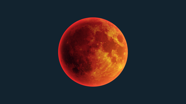 Bulan Merah Darah (Foto: Shutterstock)