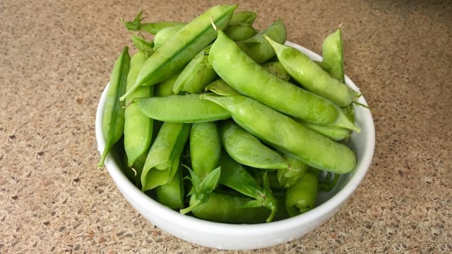 Ilustrasi edamame (Foto: Pixabay)