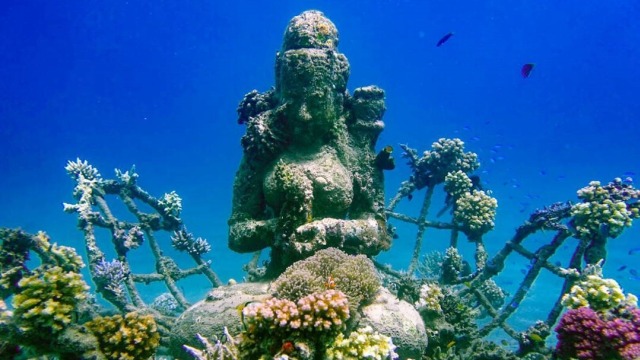 Wisata bahari di Taman Dewa di Pemuteran, Bali. (Foto: Instagram/@ettorecavalli)