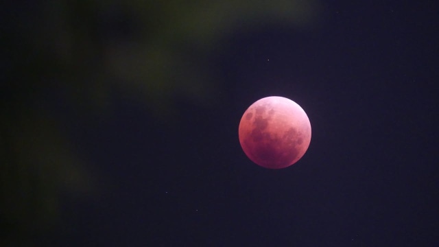 Gerhana Bulan dari kantor kumparan (Foto: kumparan)
