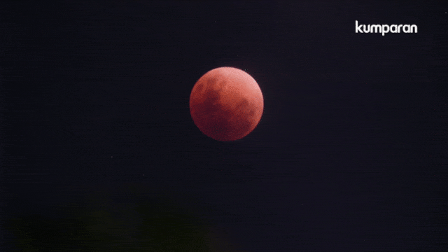 Gerhana Bulan Total 31 Januari 2018. (Foto: Dok. Kumparan)