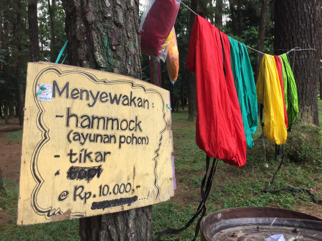 Teduhnya 'Hutan Kota Pinus Mentaos I' di Banjarbaru  (3)