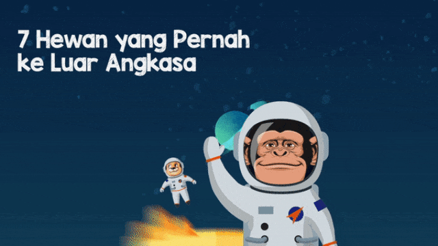 7 hewan yang pernah ke luar angkasa. (Foto: Muhammad Faisal N/kumparan)