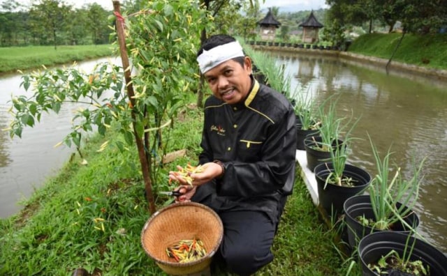 Keperihatinan Dedi Mulyadi Terhadap Petani, Upayakan Dokter Masuk Setiap Desa Di Jabar