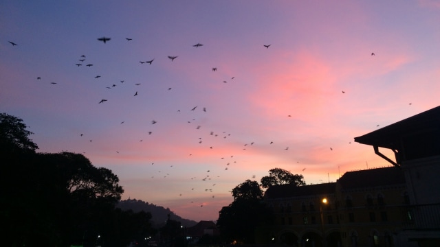 Suasana senja di Kandi, Sri Lanka (Foto: Dok. Ratripuspita Noor Jasmina)