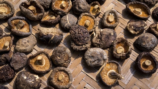 Jamur Shiitake (Foto: Pixabay)