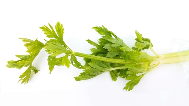 Seledri (Foto: Pixabay)