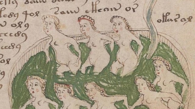Manuskrip Voynich (Foto: Beinecke Rare Book & Manuscript Library, Yale University)