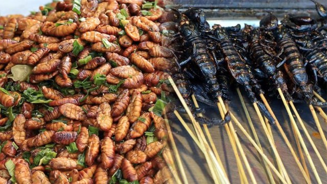 Makanan ekstrem Thailand (Foto: Shutterstock)