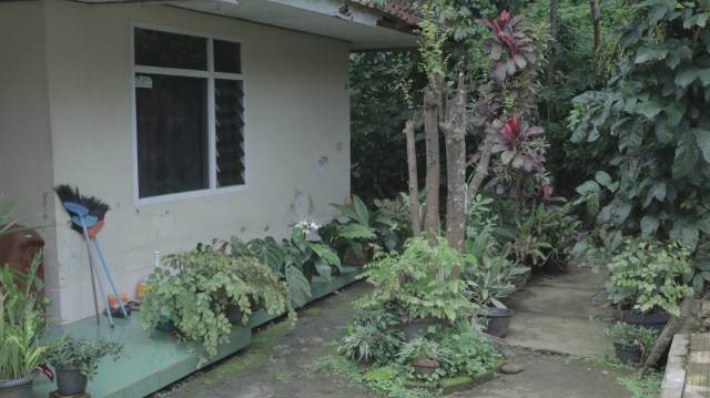 Suasana rumah pemilik buaya di Bogor (Foto: Nugraha Satia Permana/kumparan)