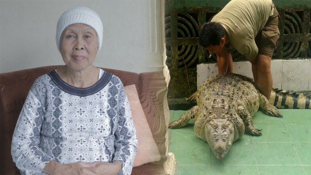 Mumun pemilik buaya di bogor. (Foto: Nugraha Satia Permana/kumparan dan Istimewa)