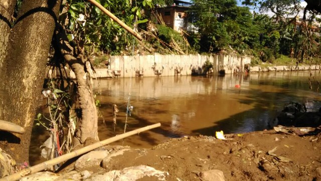 Bantaran Sungai Ciliwung (Foto: Yuana Fatwalloh/kumparan)