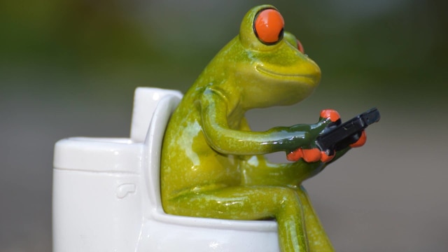 Ilustrasi Main Game di Toilet (Foto: Pixabay)