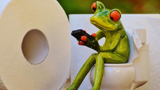 Ilustrasi Main Game di Toilet Foto: Pixabay