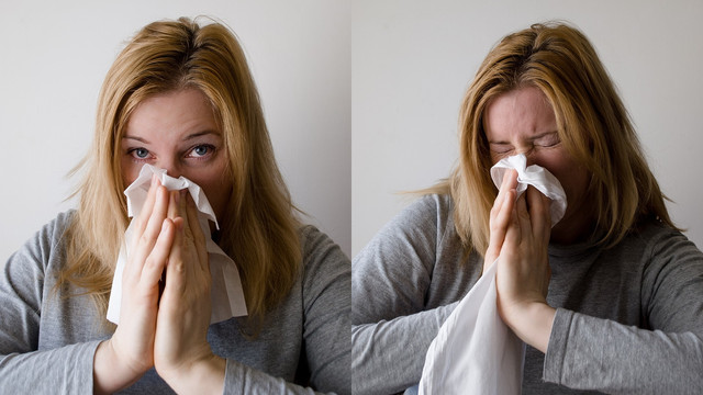 Ilustrasi hidung meler (Foto: Pixabay)