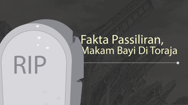 Fakta Passiliran, Makam Bayi di Toraja (Foto: Chandra Dyah A/kumparan)