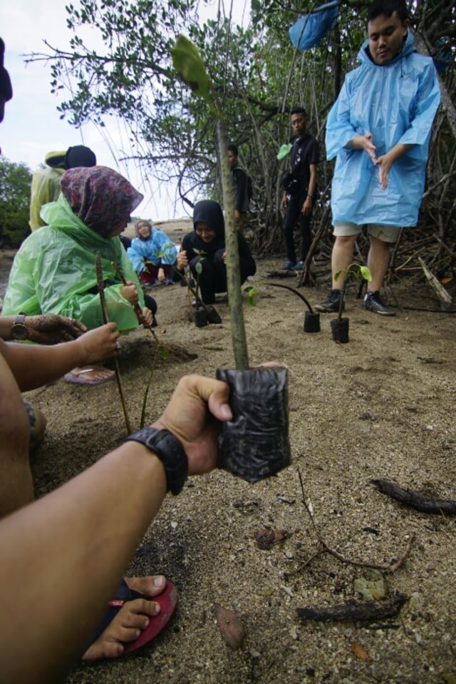 Tanam Bibit Mangrove Bareng 'Kembaran' Vicky Prasetyo (2)