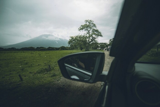 Explore Baluran: Ketemu Monyet Selfie (2)