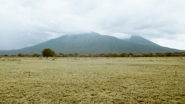 Menyapa Baluran Bersama Gerombolan kumparan