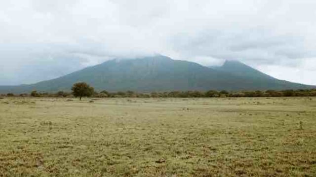 Pesona Alam di Ujung Timur Pulau Jawa, Siapa Menolak Mengunjungi? (2)