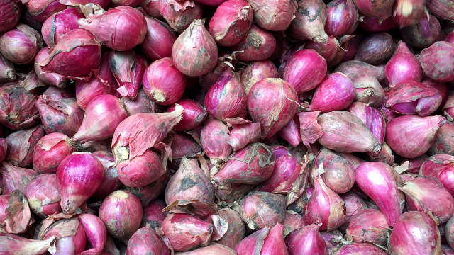 Bawang Merah (Foto: Abdul Latif/kumparan)