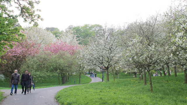 Petrin Park (Foto: Flickr / elPadawan)