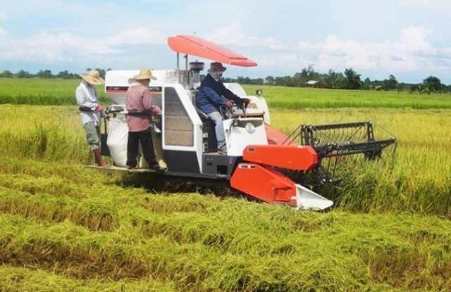 Tantangan Dalam Perkembangan Pertanian Indonesia