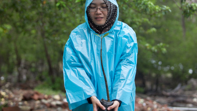 Tentang Mencintai Alam (7)