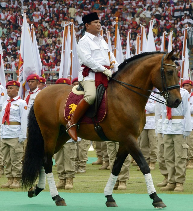 Lipsus Prabowo Subianto (Foto: AFP PHOTO / Adek Berry)