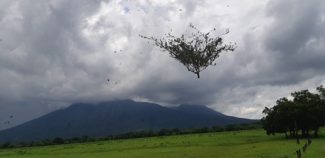 'Little Africa in Java' dengan All New Rush: Day 2 (1)