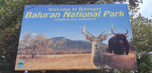 'Little Africa in Java' dengan All New Rush: Day 2