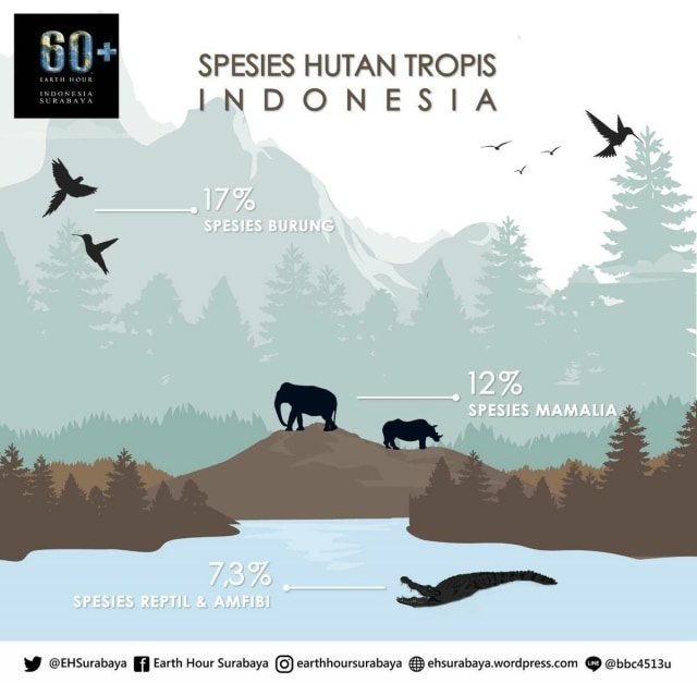 Earth Hour