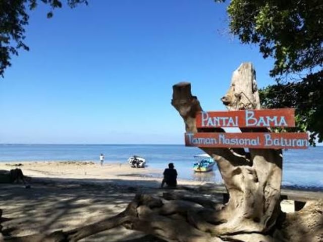 Menikmati keindahan pantai bama, taman nasional baluran