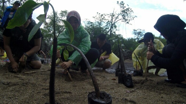 Menikmati keindahan pantai bama, taman nasional baluran (1)