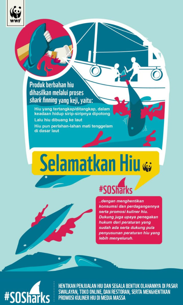 Konsumsi Sirip Hiu Bermanfaat atau Berbahaya?