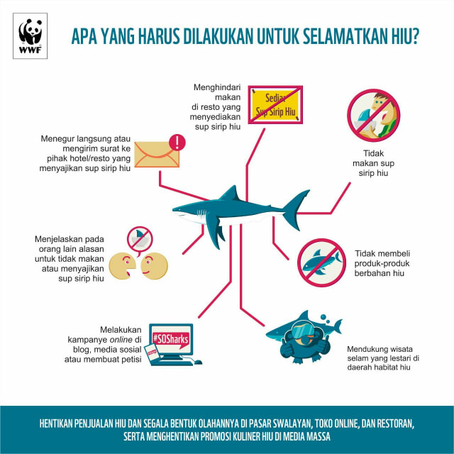 Konsumsi Sirip Hiu Bermanfaat atau Berbahaya? (1)