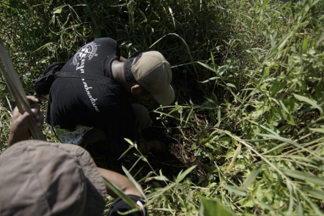 Hijaukan bumi dari sisi bukit jengger (2)