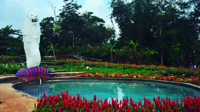Taman Bunga Celosia. (Foto: Instagram@taman_bunga.celosia)