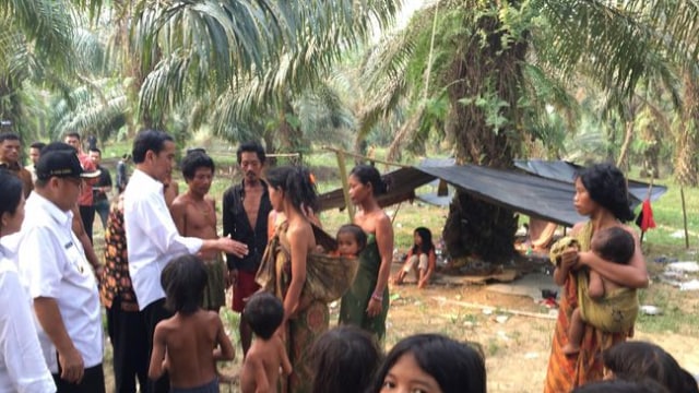 Presiden Akan Kunjungi Kawasan Tepadu Mandiri Untuk Suku Anak Dalam