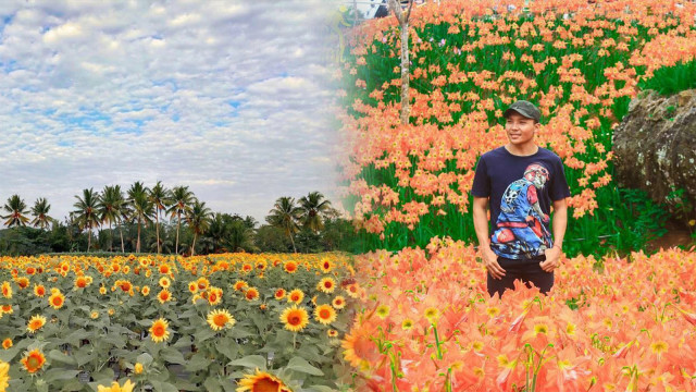 Lahan biasa disulap menjadi kebun bunga cantik (Foto: Instagram @tamandewari @ayodolan )