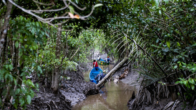 Warga Asmat Menggunakan Perahu (Foto: Antara Foto/ M Agung Rajasa)