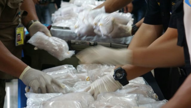 Petugas merapikan barang bukti benih lobster. Foto: Jamal Ramadhan/kumparan