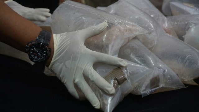 Petugas merapikan barang bukti benih lobster. Foto: Jamal Ramadhan/kumparan