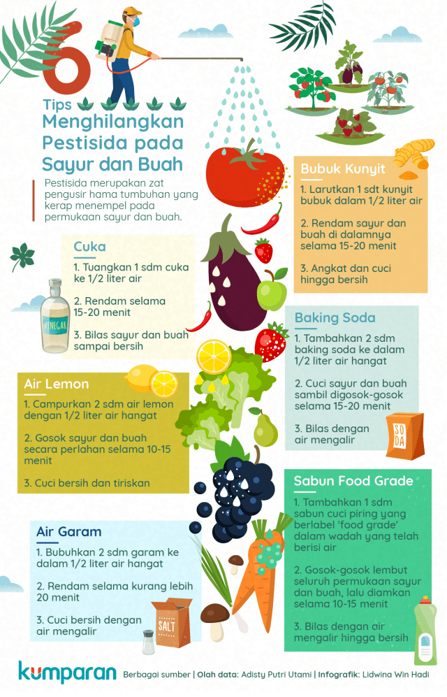 Infografik tips menghilangkan pestisida pada sayur (Foto: Lidwina Win Hadi)